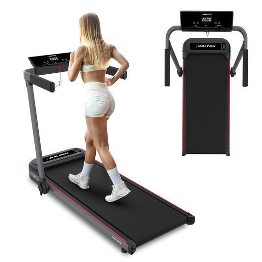 Electric Treadmill Walden F2800